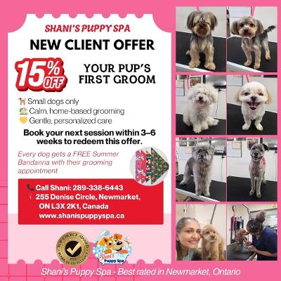 Dog Grooming Service Available in Newmarket
