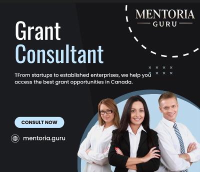 Top Grant Financing Consulting Services in Canada - Mentoria Guru