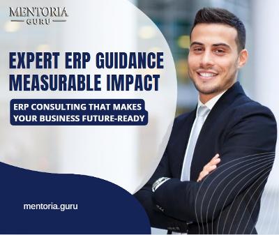 Top ERP Consulting Services by Mentoria Guru