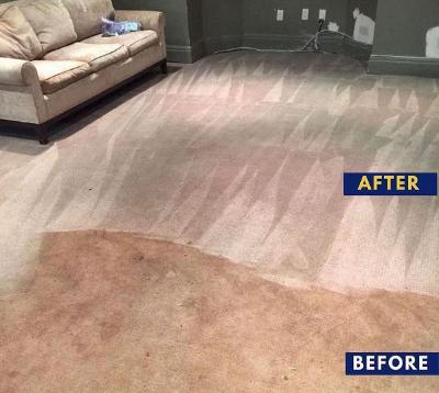 Carpet Cleaning