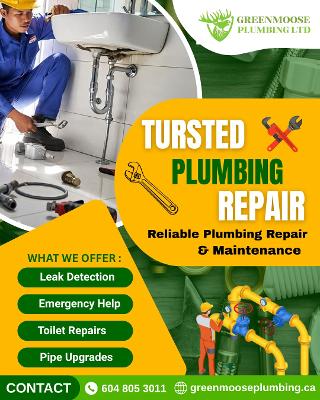 Affordable Plumbing Renovation & Repair Services in Surrey