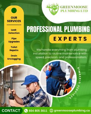 Affordable House Plumbing Renovation & Plumbing Repair Services in Surrey