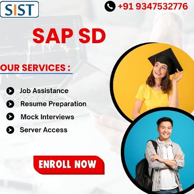 Training Institute SAP SD Courses Available Hyderabad US UK Canada