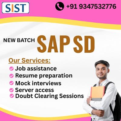 SAP SD Training: Comprehensive Guide for Success