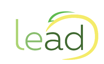 Lead Property & Cleaning Services
