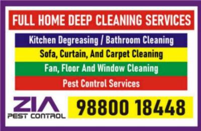 Professional Service Offerings | Expert Solutions for Your Needs