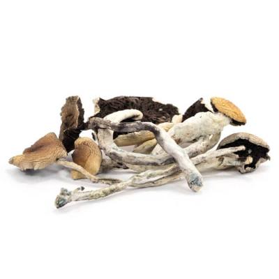 Organic Mushrooms online