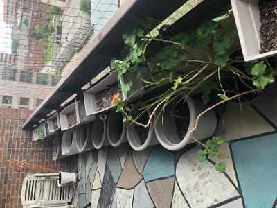 Outside plant holders with accessories included