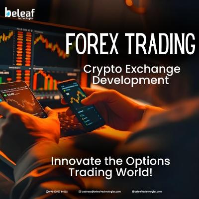 Best Forex Software for Automated Trading: Monitor Charts 24/7