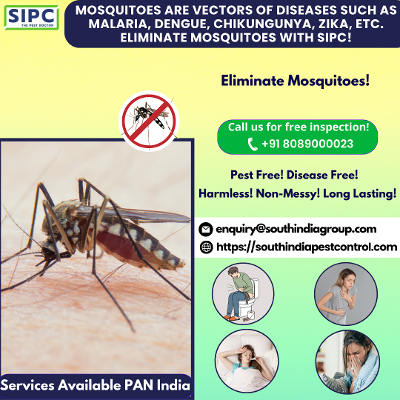 Best Mosquito Control Services in Chennai