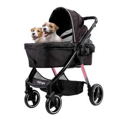 Dog Travel Tips for Every Adventure: Safe and Easy Solutions
