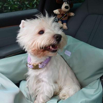 Best Dog Car Seats for Safe Travel