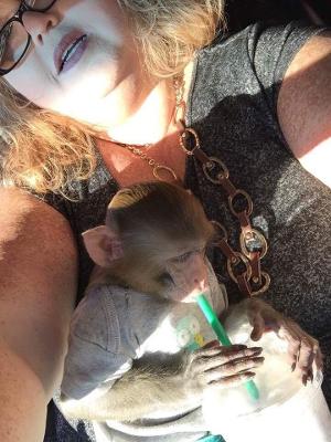 Adopt a Baby Monkey: Find Your Perfect Primate Companion