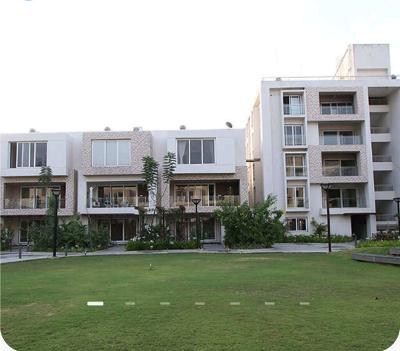 Arvind Forest Trails