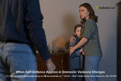Self-Defense in Domestic Violence Cases: Legal Insights