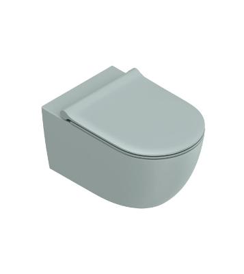 Why Are Wall-Mounted Toilets More Popular Among Canadians?