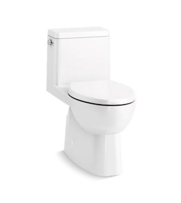 What is the Advantage of a Two-Piece Toilet?