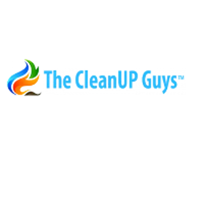 The CleanUP Guys