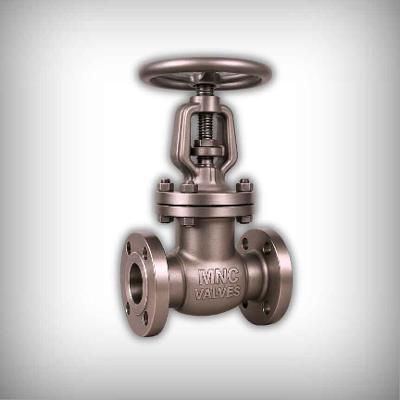 Top Gate Valve Manufacturers in Ahmedabad, India | MNC Valves