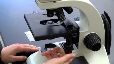 Leading Microscope Manufacturer in India: Precision, Innovation, Reliability