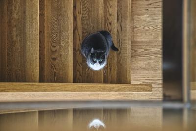 Hardwood flooring and hardwood stairs installation at affordable prices - Robar Flooring