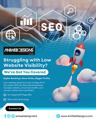 Boost Your Website Rankings with AniWebDesigns SEO Experts!
