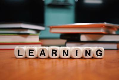 Diploma in Elementary Education at Vidya University Meerut