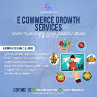Pro Digital Hub | Expert Marketing, SEO, and Branding Services