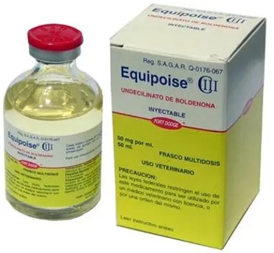 Veterinary Steroids Guide and Uses Explained