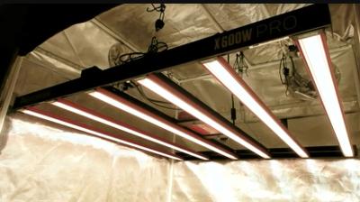 Photontek 1000 Watt Pro led grow light