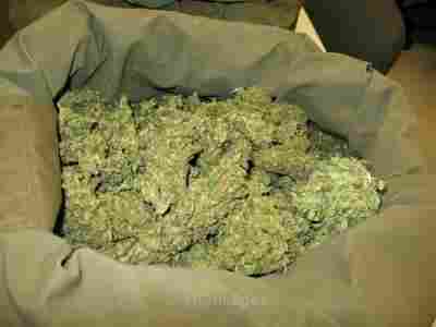 O.G kush,purple kush, white widow and other meds for sale