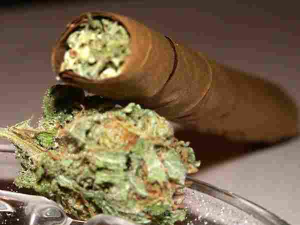 O.G kush,purple kush, white widow and other meds for sale
