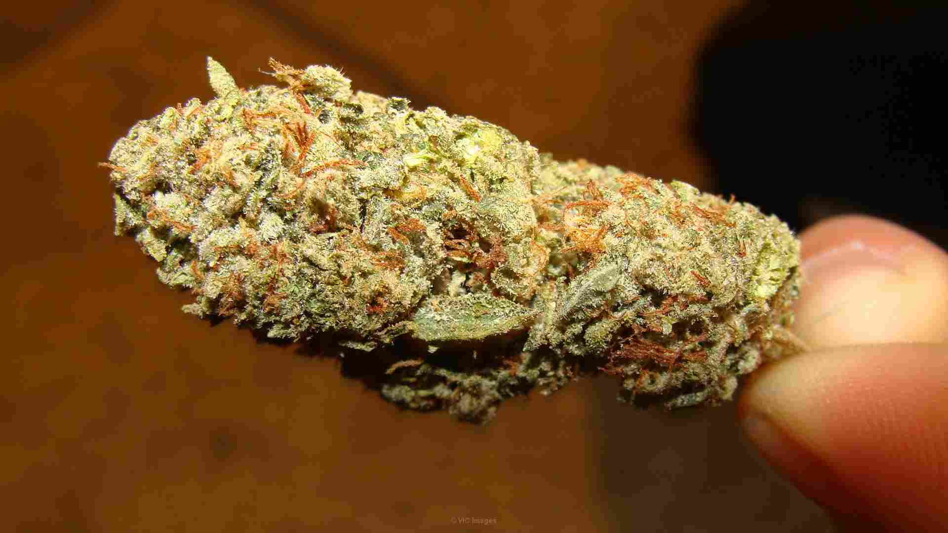 O.G kush,purple kush, white widow and other meds for sale