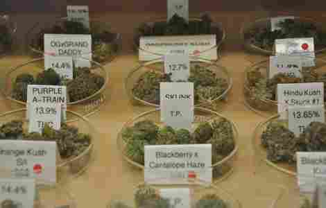 100% finestl quality ORANGE KUSH,Platinum Kush, Purple Kush, Orange Kush, Sour Kush, Golden OG Kush and bubba kush