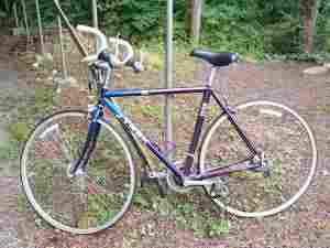 NEW 2008 Kona Four Lisa Mountain Bike $600