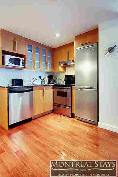 Incredible Big studio in Downtown montreal