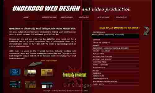 Professional Website Design