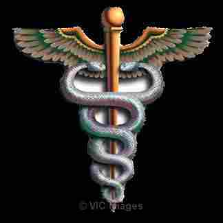 MOST EXPERIENCED AND A LEADER OF AFRICAN HEALERS, MAAMA SHAHIEDA
