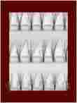 EYELASH EXTENSIONS TRAINING COURSE BY: XTREMELASHCANADA