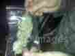 ak47,og kush,white widow,purple kush and other related meds