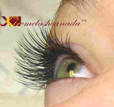 Most wanted lashes by Xtremelashcanada