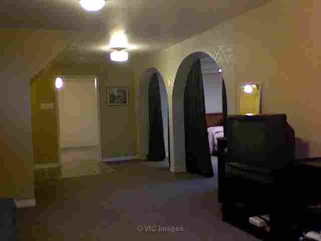 Newly  renovated SPACIOUS 1brm available June 1st