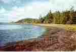 Waterfront Land for Sale - Wood Islands, PEI, Canada