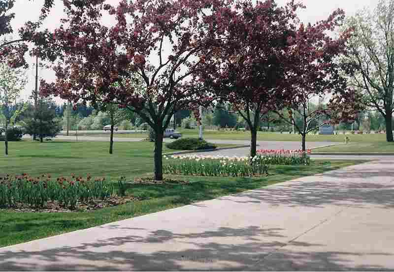 Matheson Landsaping LTD. Contracts/Clients WANTED! Ottawa, ON.