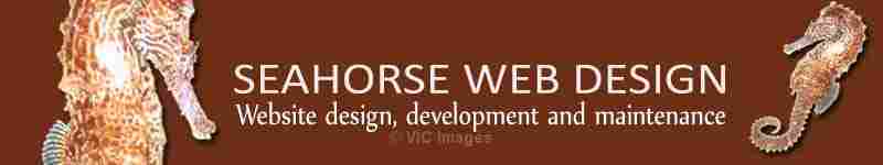 Customized and Affordable Website Design and Maintenance