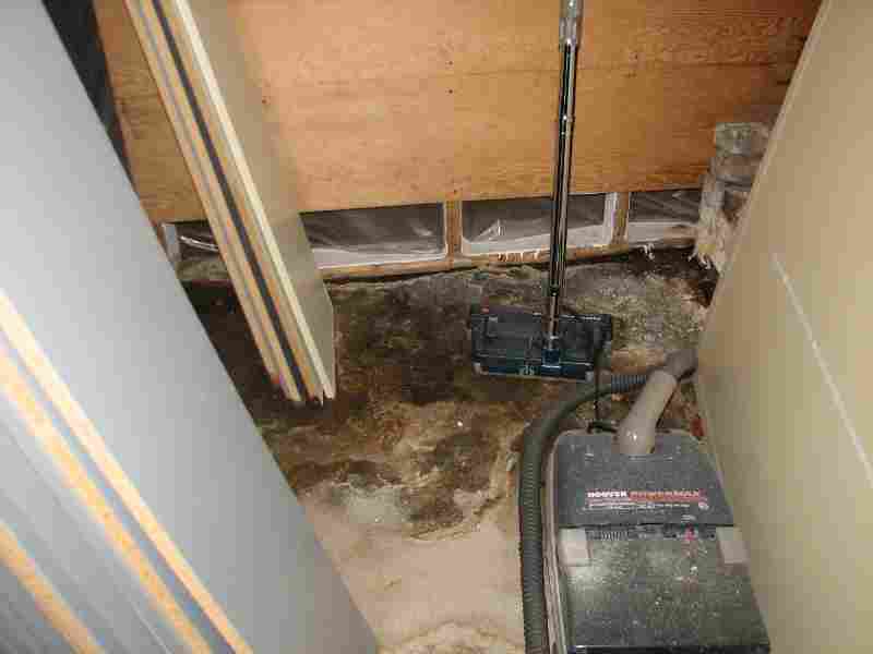 Mould inspections toronto