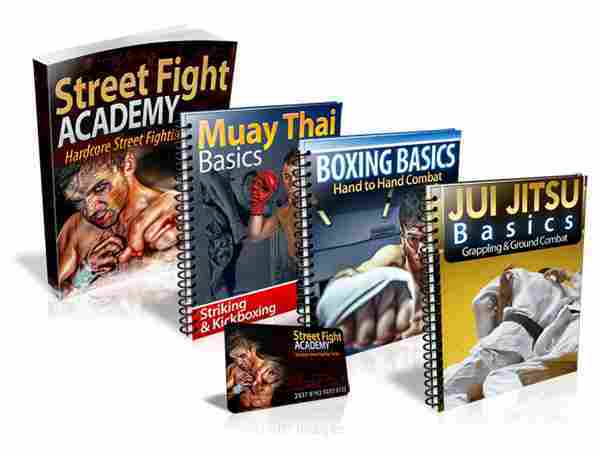 Street Fighting Academy
