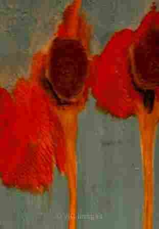 ART LIMITED EDITION SIGNED PRINTS