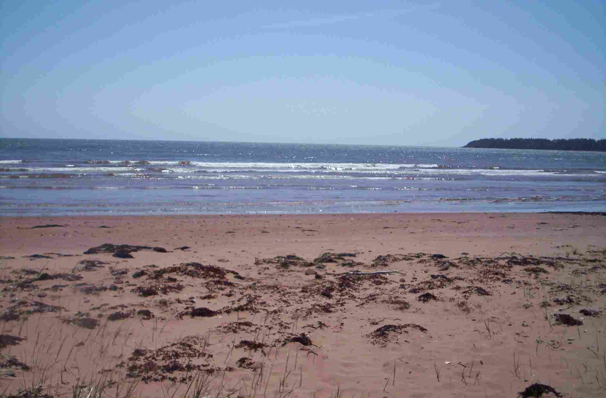 2 lots for sale Fortune bridge PEI $15,000 and $10,000
