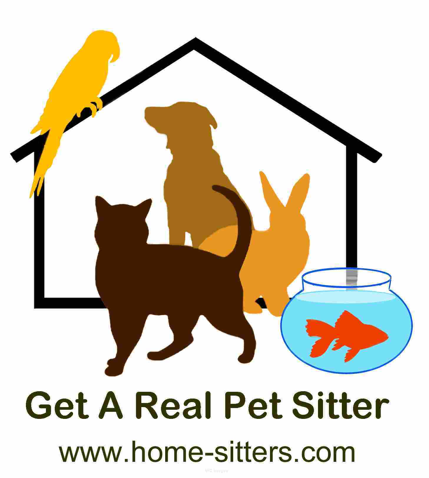 Professional Pet Sitting in the Southern Peninsula